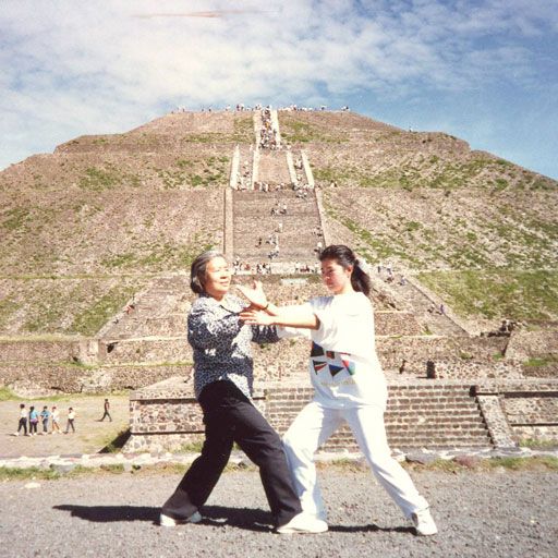 Jingwen and Hao Zhihua practicing tuishou.